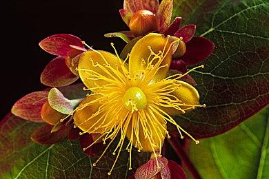 《飞越13号房》上线后好评不断，或成第二个《隐形守护者》